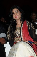 Anisha Photo Gallery